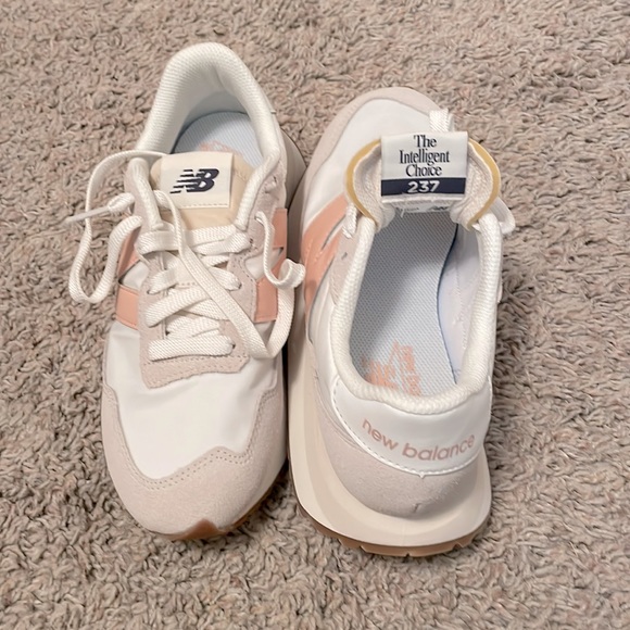 the intelligent choice 237